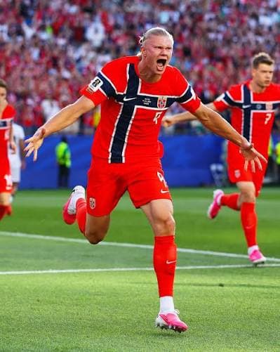 The Norwegian Beast